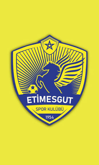 ETİMESGUT SPOR KULÜBÜ